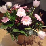 dsc00099.JPG