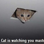 ceilingcat.jpg